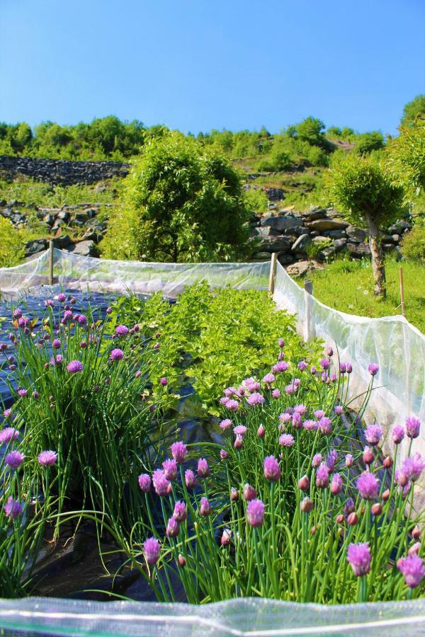 Grimo Fjord House 빌라 외부 사진