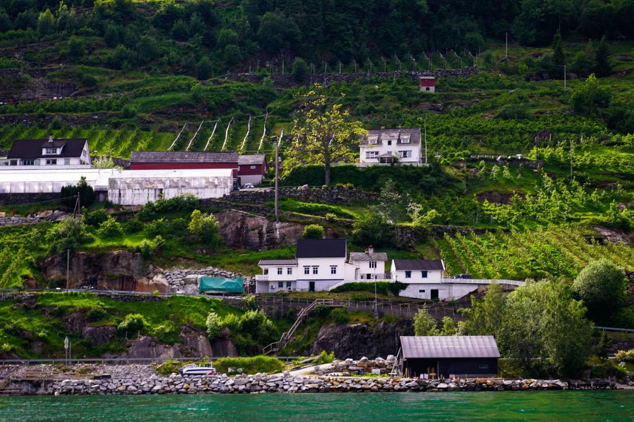 Grimo Fjord House 빌라 외부 사진